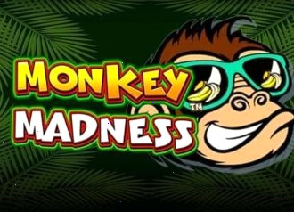 слот Monkey Madness Pragmatic